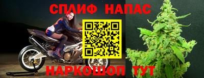 амф Камышлов